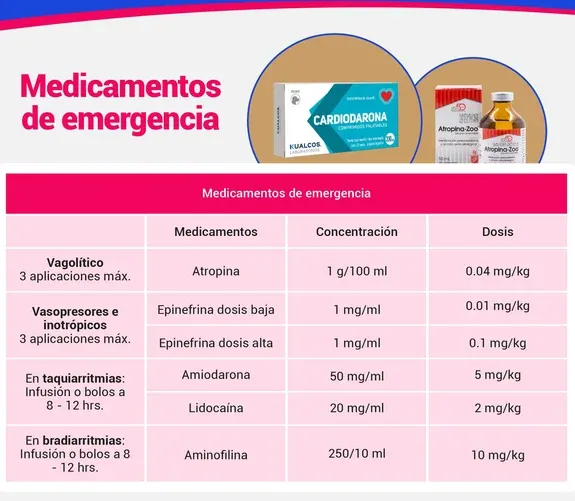 Herramientas