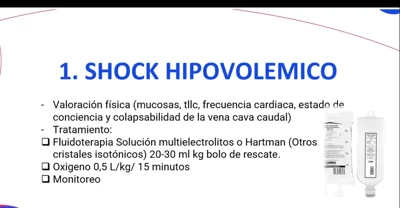 Shock hipovolémico