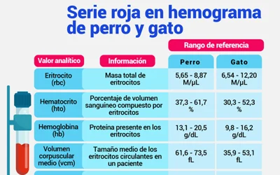 Serie roja en hemograma de perro y gato
